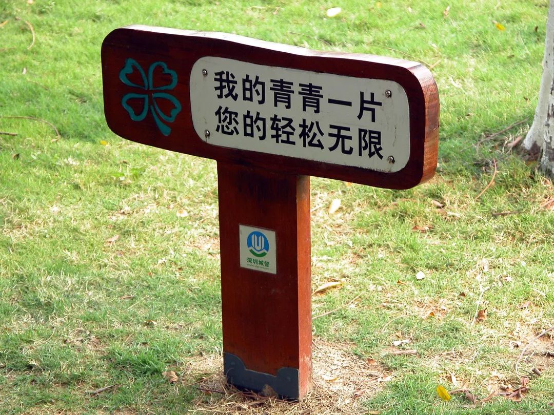 植树节 | 播种绿色，健康出行