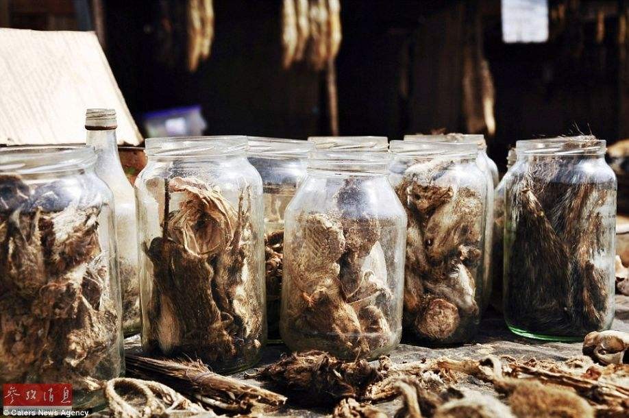盘点世界上最神秘恐怖的五大景点