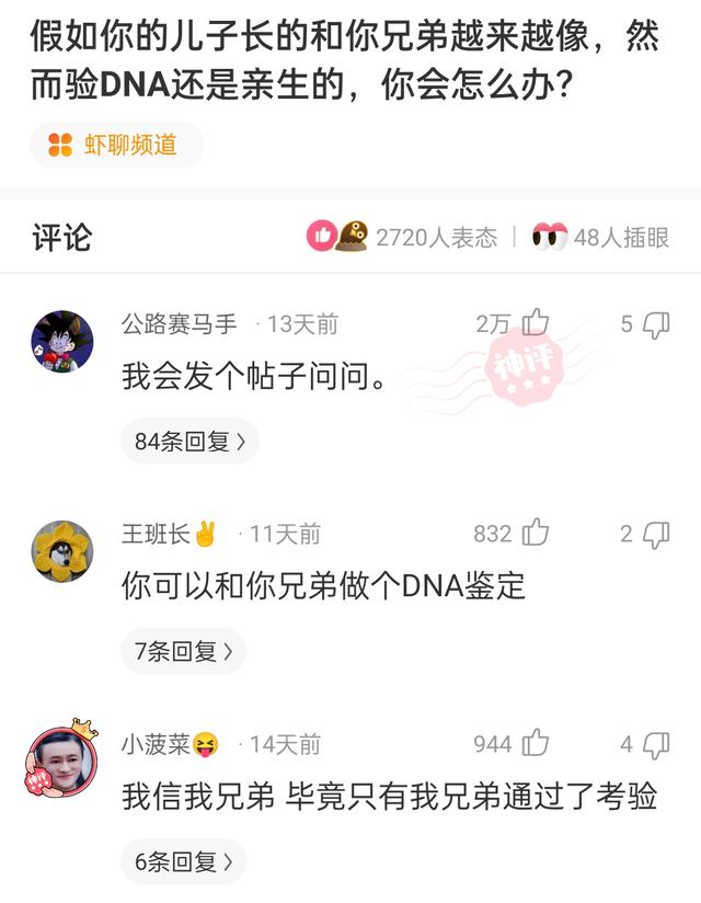 “没有买卖，就没有伤害！”让我以后怎么正视巧克力？哈哈哈
