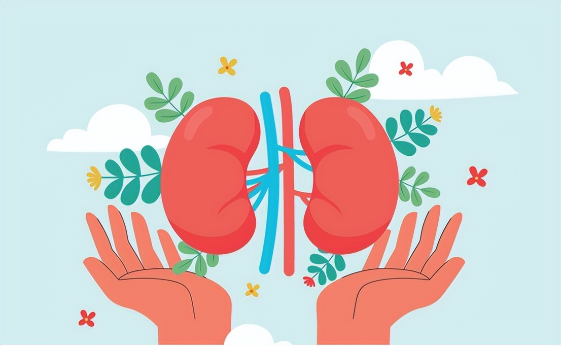 肌酐高了会出现什么问题 肌酐偏高是什么原因-星星快文