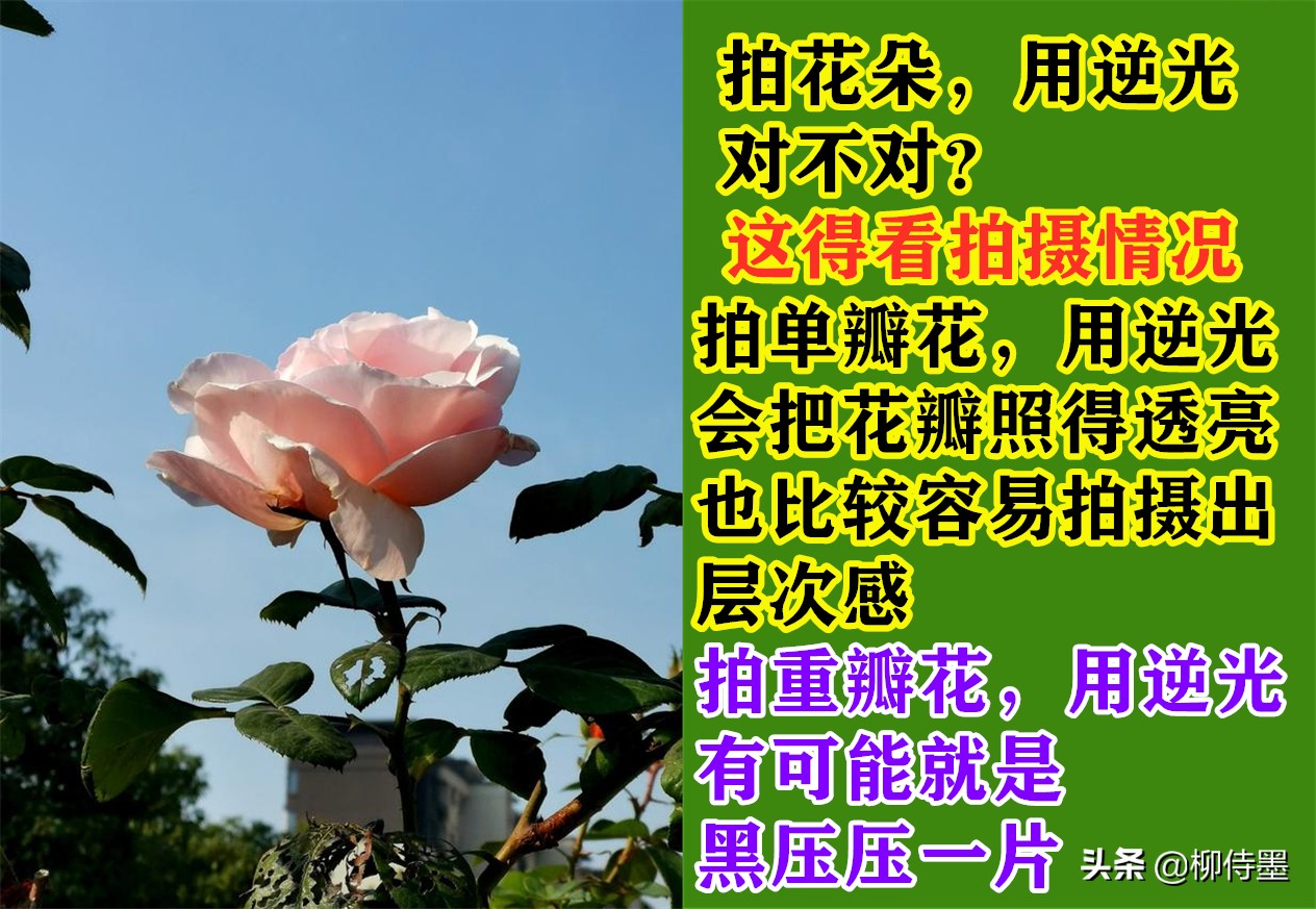 难怪照片不好看，这些拍照时的“坏习惯”，摄影新手经常犯
