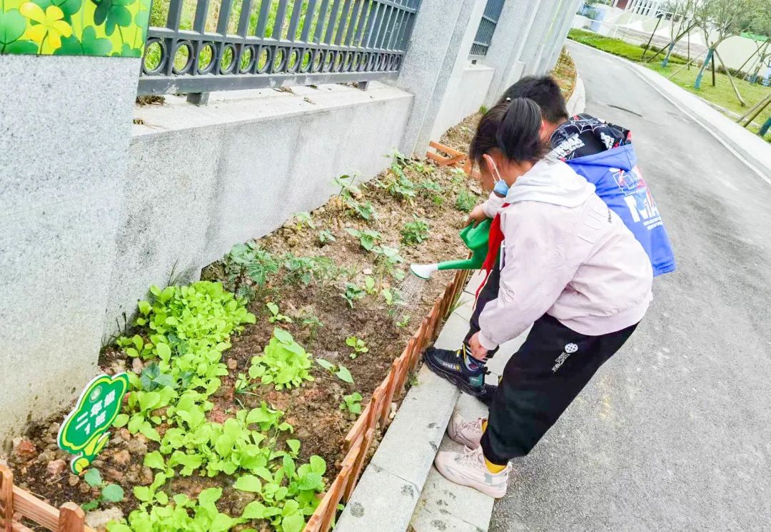 「责任教育 劳动课程」成都市双流区黄甲小学开发特色劳动种植课程
