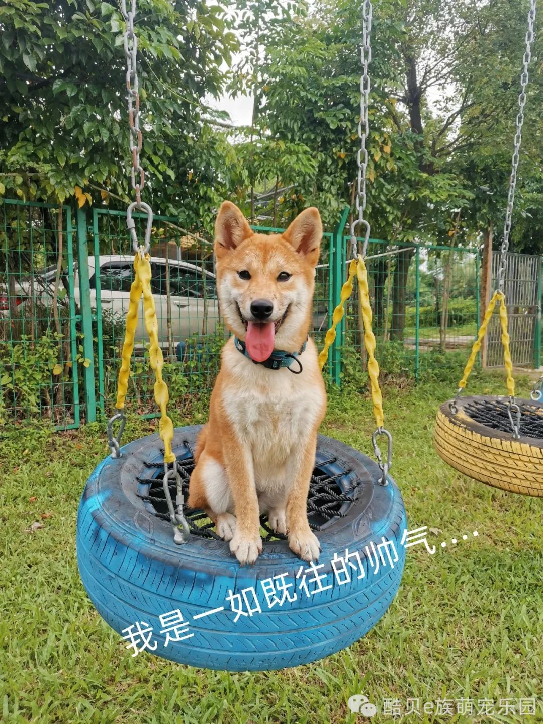 宠爱有家 夏日派对丨酷贝E族