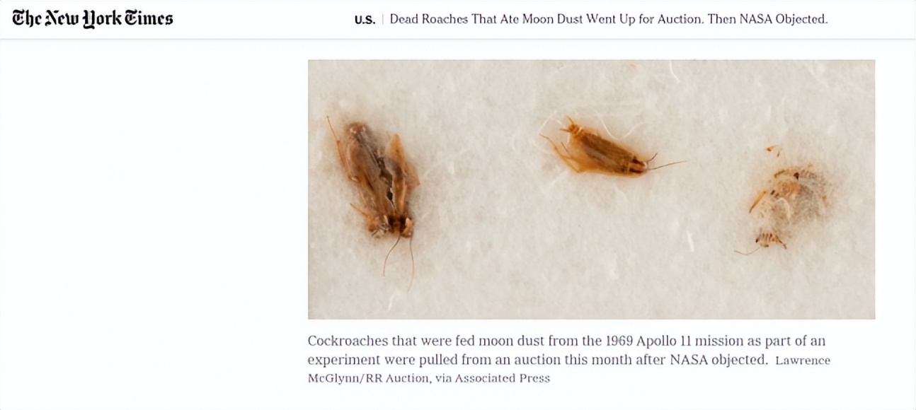 月亮上除了有“月兔”，还有三只月蟑螂，价值4万美元