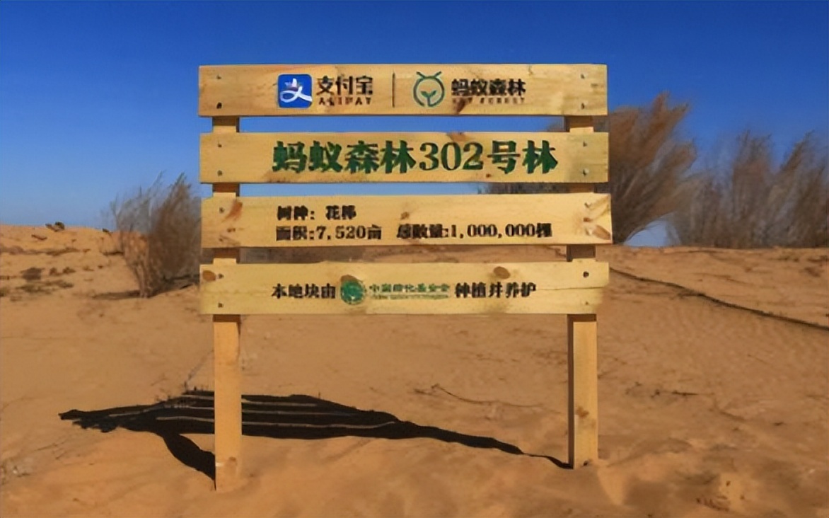 2016年马云斥巨资打造蚂蚁森林，承诺在沙漠种树，如今怎么样了？