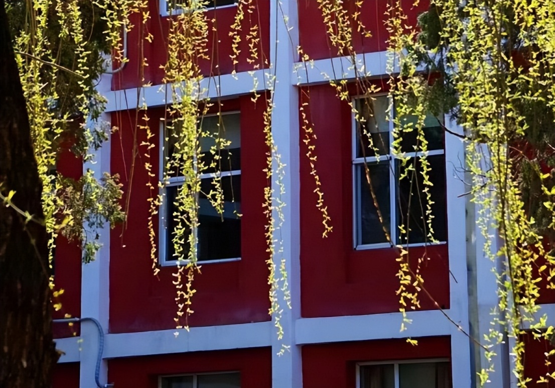 “语”你一起，共赴未来！北京语言大学：在这里，会五洲好友，看大千世界！