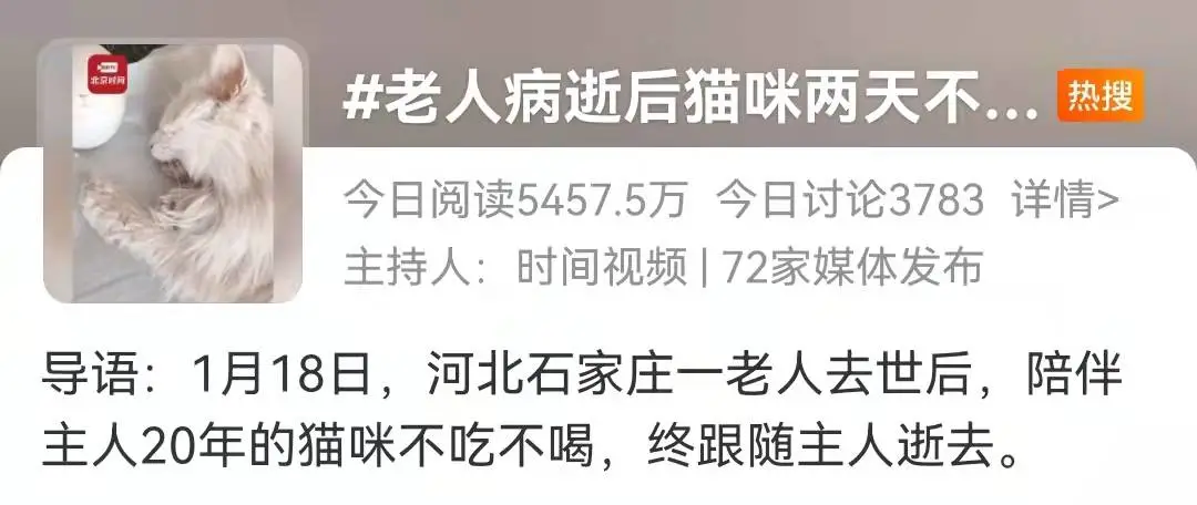 猫为什么害怕老人(泪目！老奶奶病逝，陪伴20年老猫绝食两天两夜随她而去...)