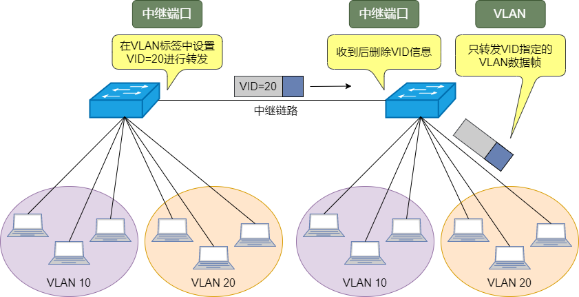 图解三层交换机：局域网都用它来组网