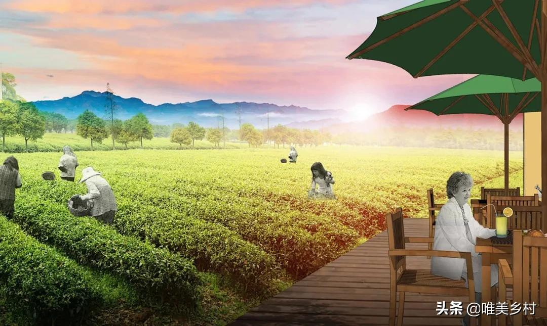 沦为负债，倒逼农村集体经济革新？关键在于，联农带农机制的创新