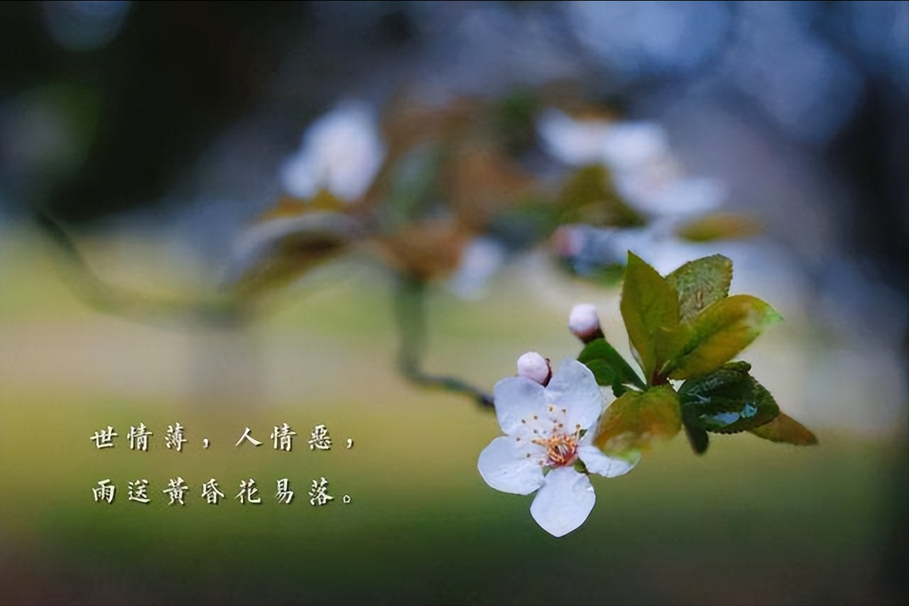 中国文学史上45首关于爱情的经典诗词，你最喜欢哪一首？