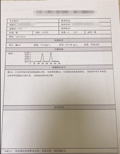 宠物医生，公猫绝育后拉稀便血呕吐怎么办？