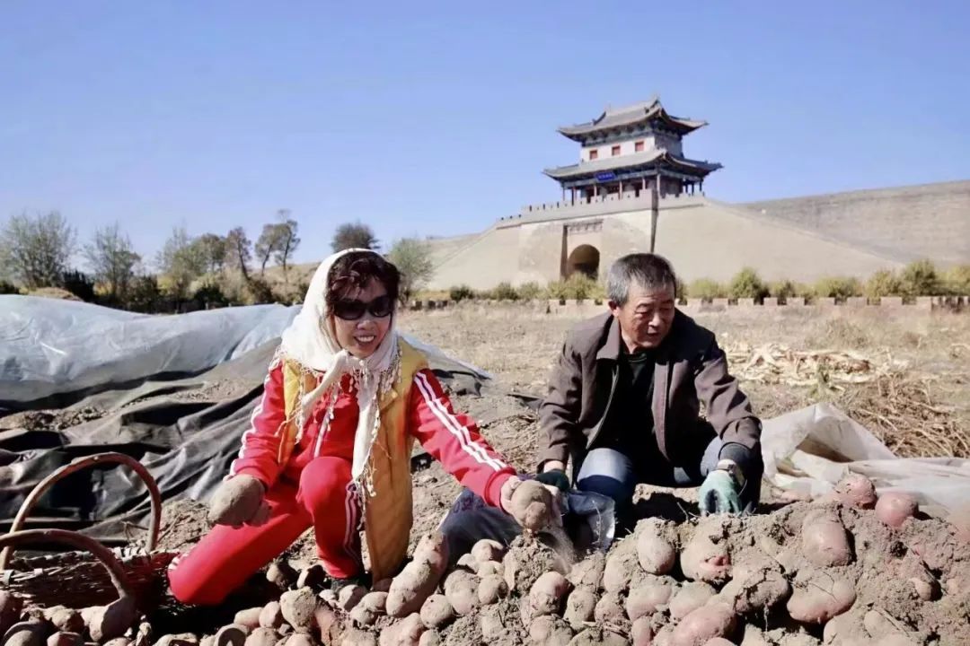 线上展览|“劳动最光荣”主题摄影作品线上图片展（七）