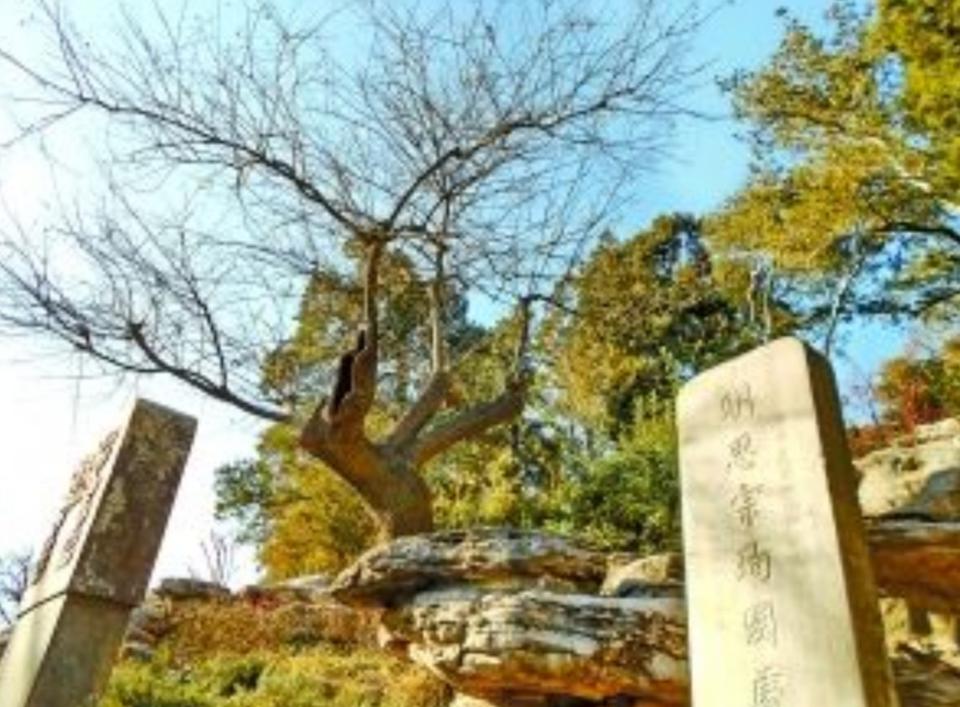 300多年前，吊死崇祯皇帝的那棵“老歪脖子树”，现状如何？