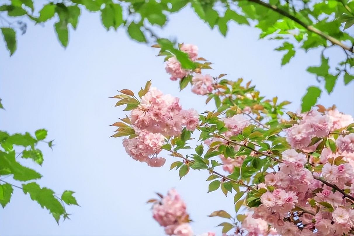登上央视，手握多所名校offer！陕西
