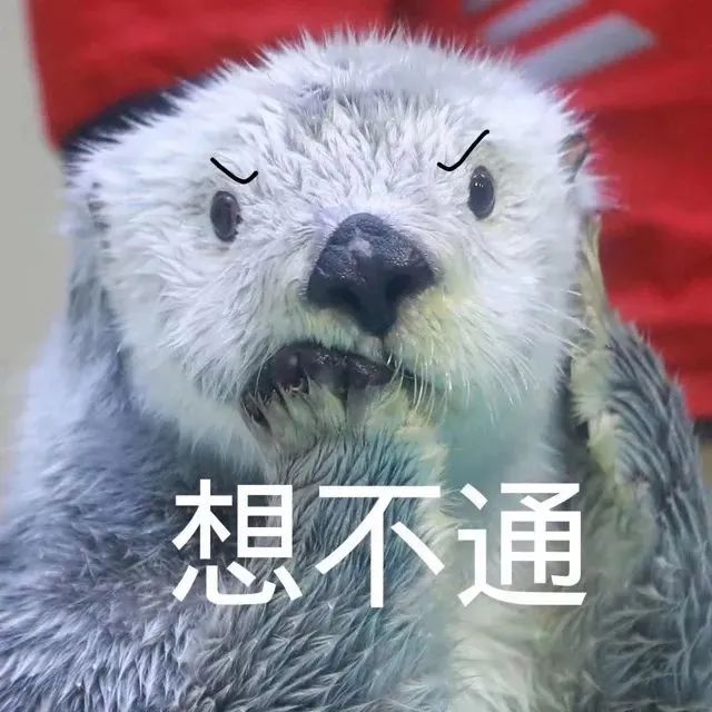 机动车保险,机动车保险怎么查询