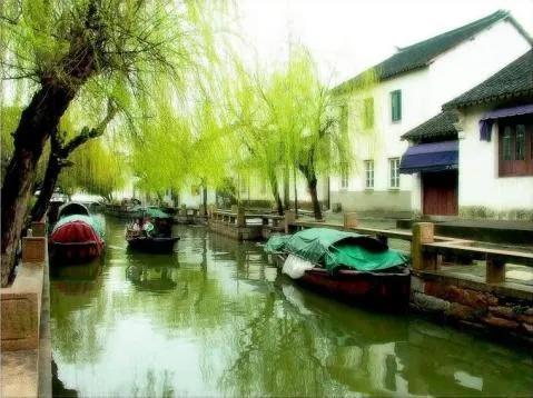 “沾衣欲湿杏花雨，吹面不寒杨柳风”，作者写出了不一样的春色