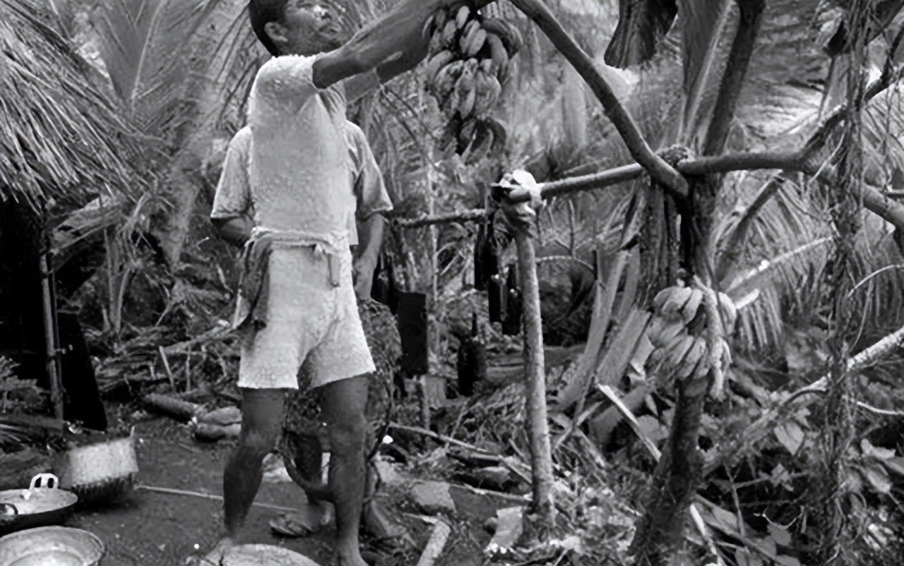 ���һ��Ͷ�����ձ��������˽�30����λ�ս��ֱ��1974���Ͷ��