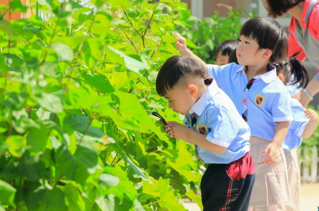 宝宝上幼儿园哭闹？了解分离焦虑3个阶段7招预防，育儿十全十美