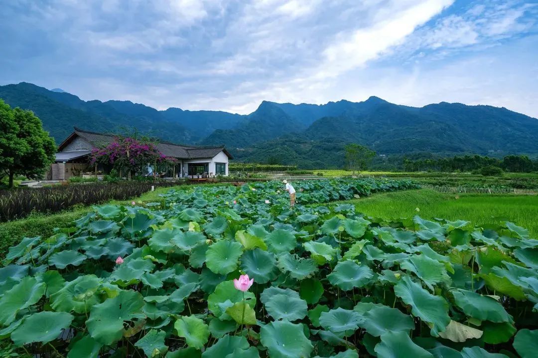 自然與經(jīng)濟(jì)的共生：鄉(xiāng)村振興可持續(xù)發(fā)展之路