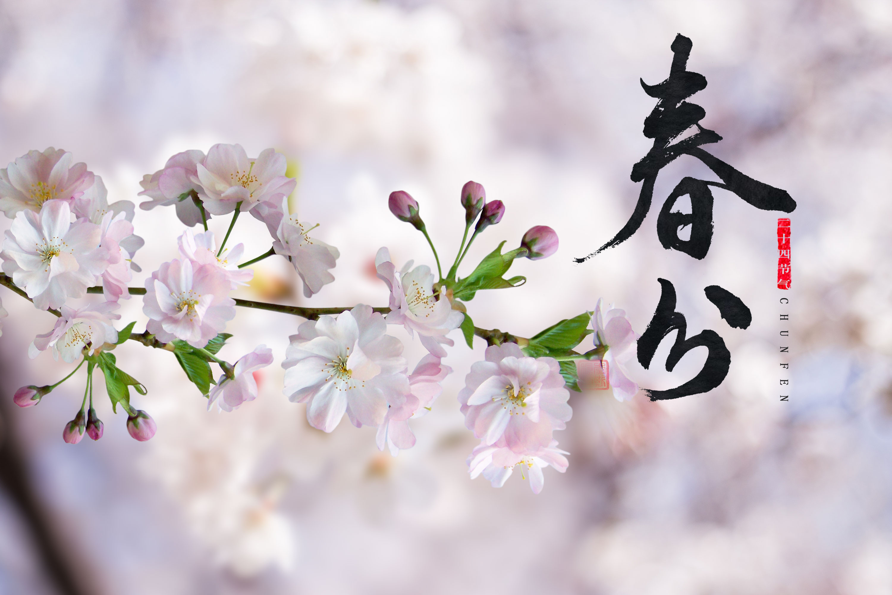 二十四节气故事之春分