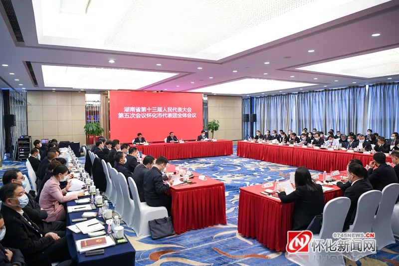 【連線省兩會】懷化代表團審查省人大常委會工作報告和省“兩院”工作報告 雷紹業黎春秋李萬千參加