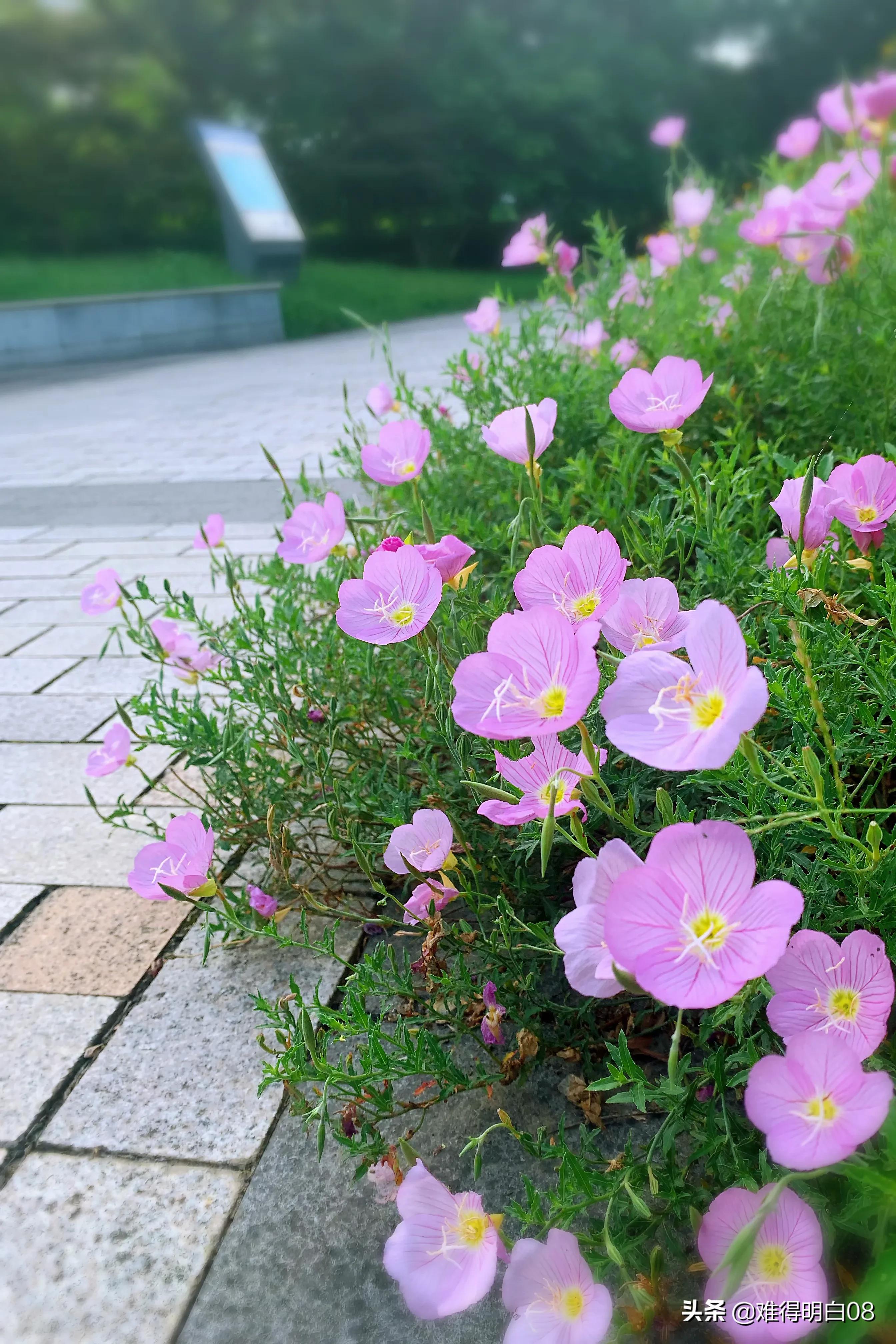 能理解他的选择(出轨里无赢家，每个人都要学会为自己的选择负责)