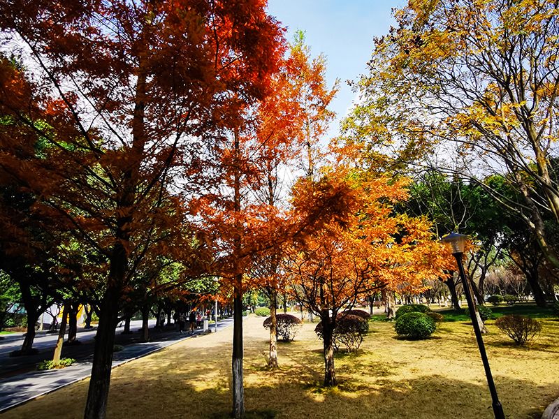 牛！重庆“女神”书记3次实现“零突破”，报告获中央领导批示！