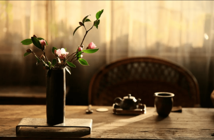 淡泊宁静与世无争(宁静生活与世无争的唯美句子)
