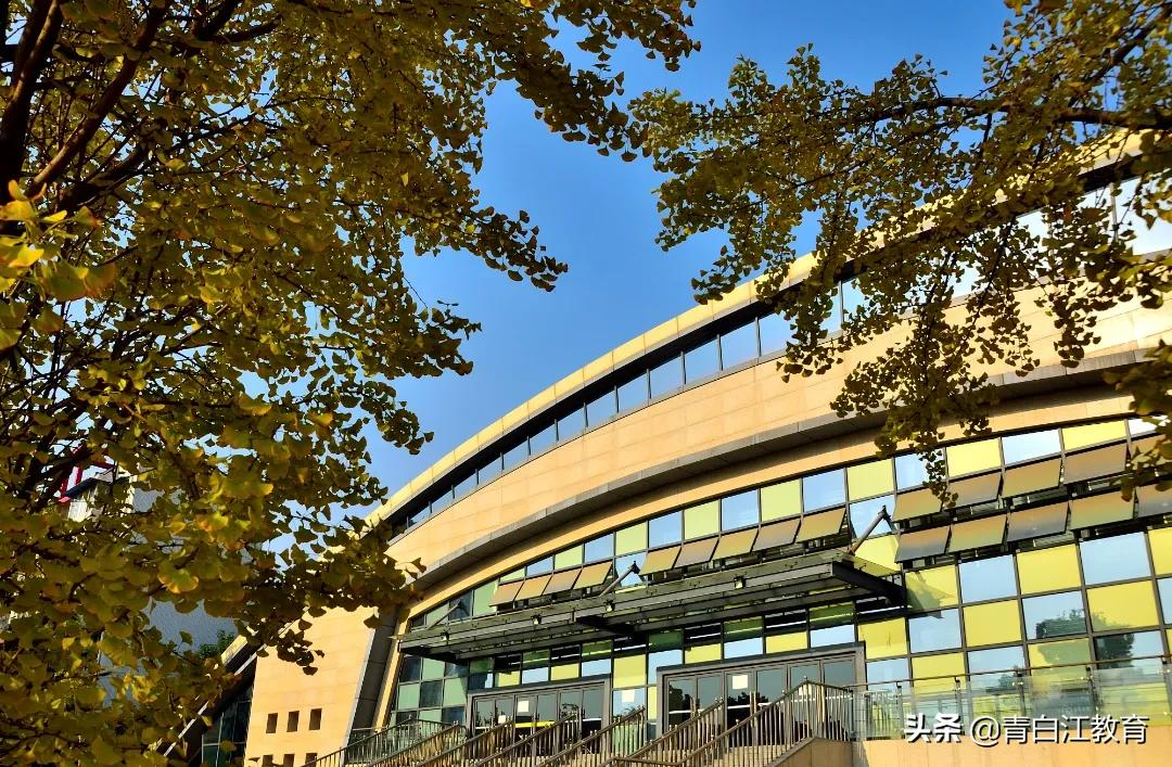 秋冬美图来袭① | 为你喜欢的校园美景投票吧