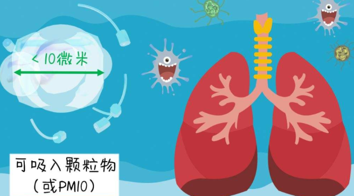 白醋去甲醛的方法操作43