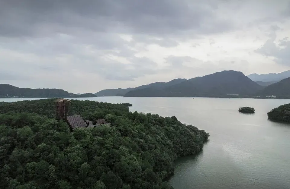 自然与经济的共生：乡村振兴可持续发展之路