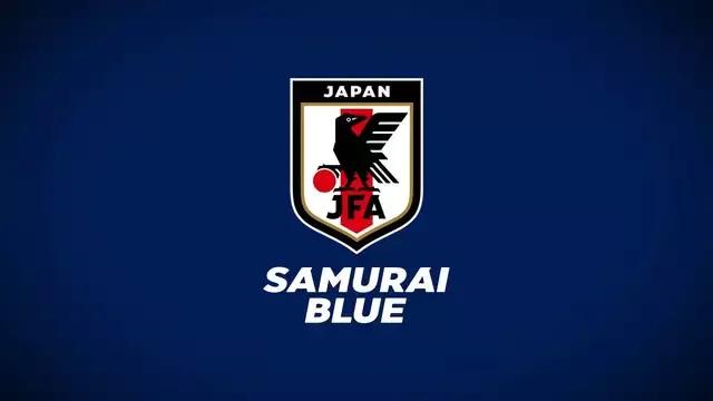 是日本男足国家队第一次世界杯(世界杯的遗憾30：2010年的日本队)