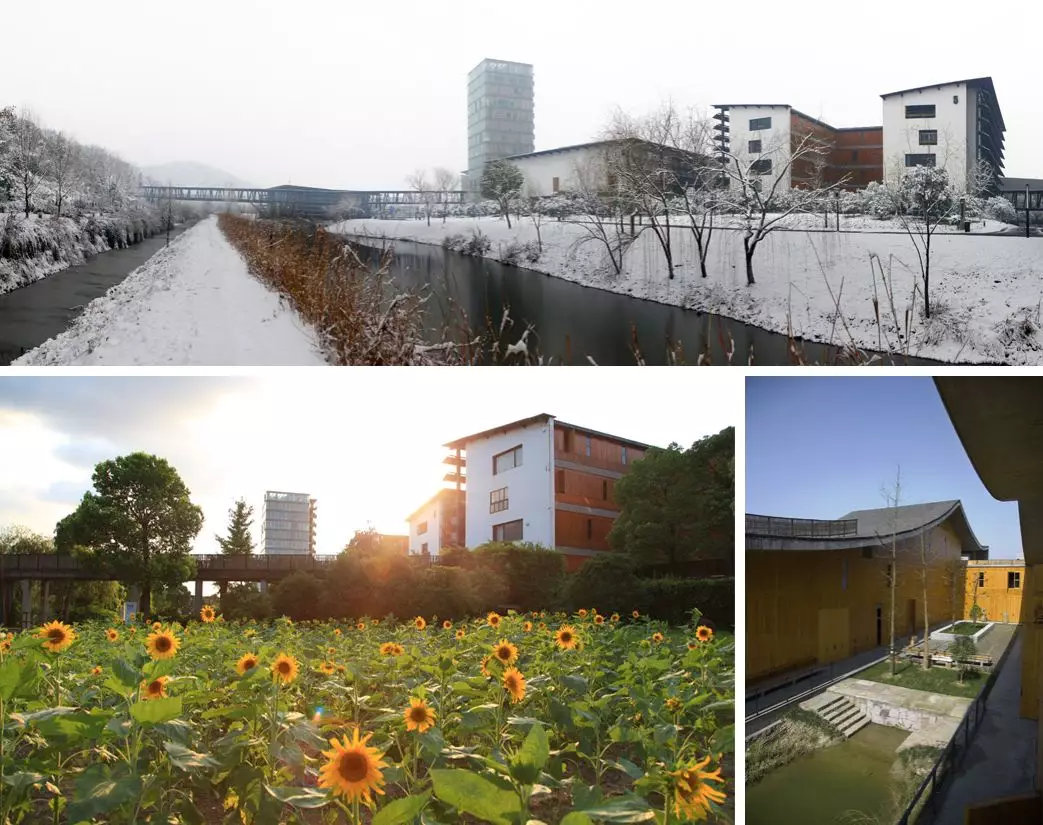 国美扩招势在必行！启用良渚校区后，中国美院又新增中外合作专业