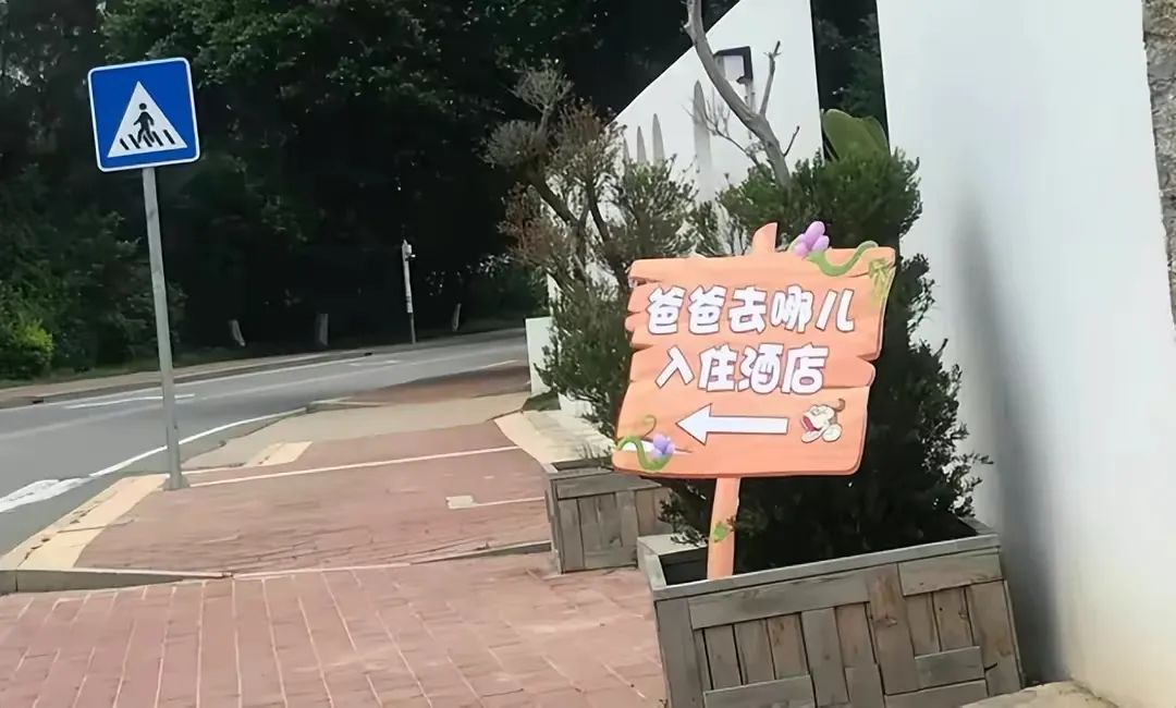 《爸哪》即将重启？多个营销号发博爆料，海豚海绵都在网友预测榜