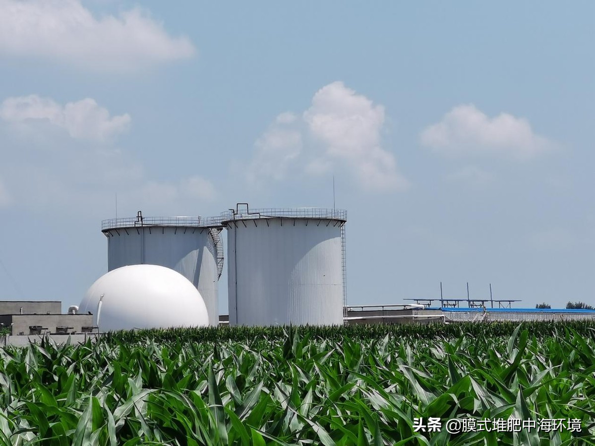 最高5000万！养殖业、农业可拿这项补贴，附申请流程与技术指南