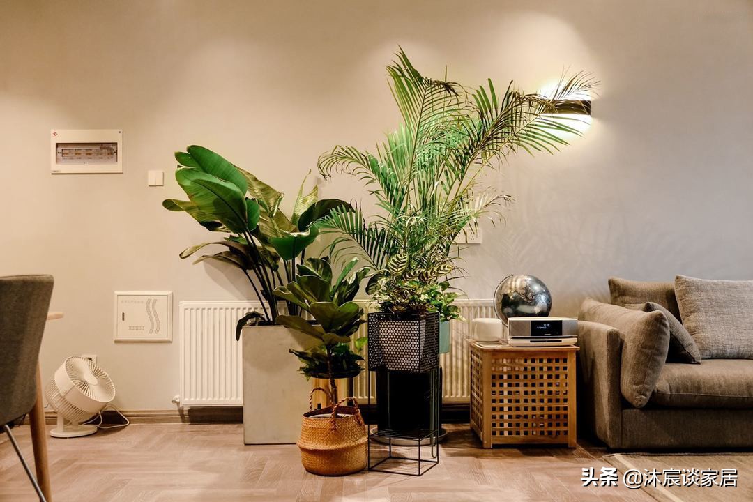 特小户型装修攻略：她的新家焕新设计
