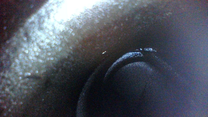 烧机油不大修，沉浸式慢游珠海，顺带修复烧机油