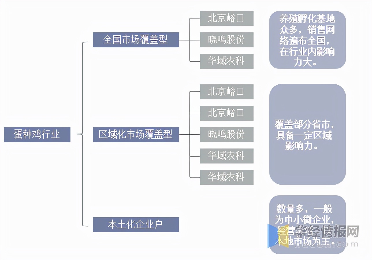 2021年中國蛋雞產(chǎn)業(yè)現(xiàn)狀及發(fā)展趨勢分析，祖代向全國供種富富有余