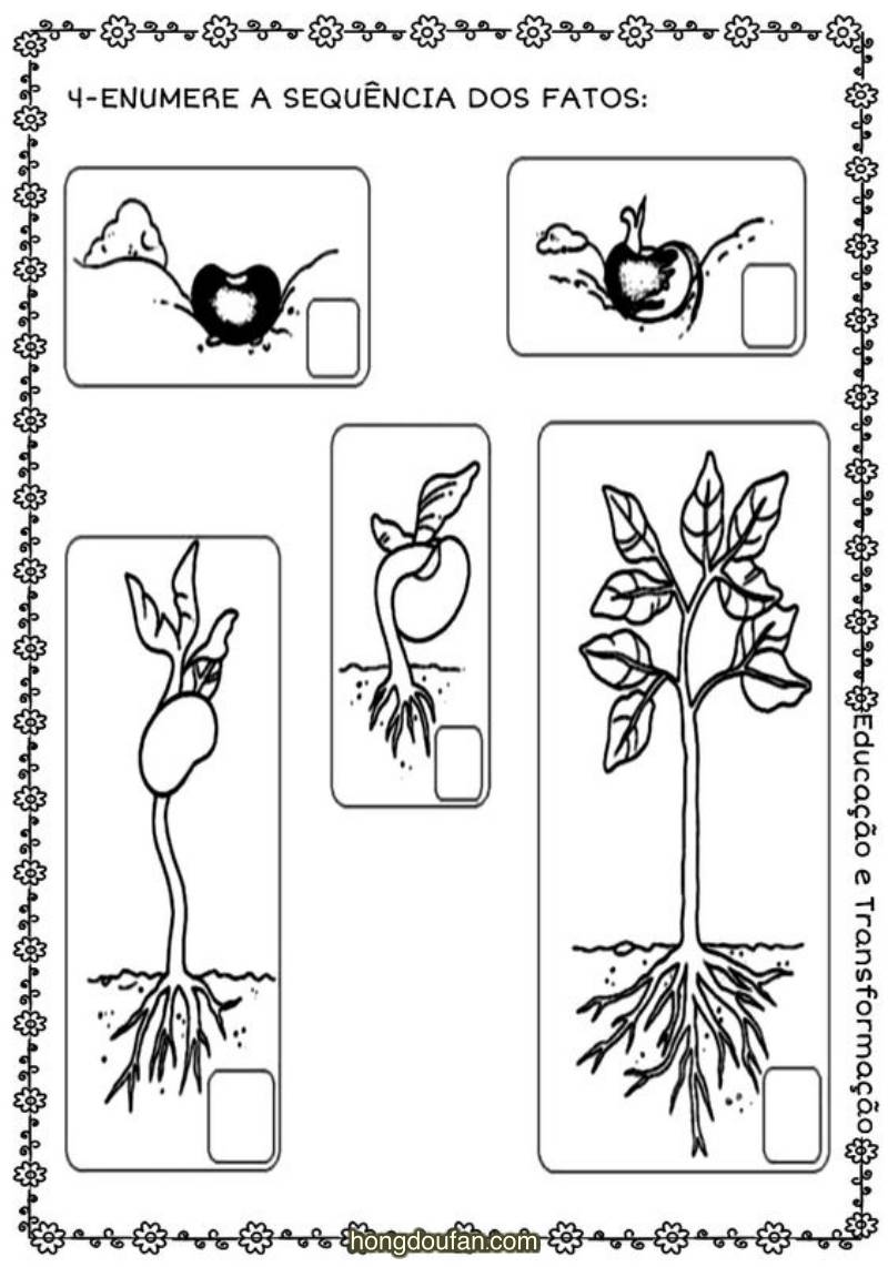 植物生长绘画简笔画图片