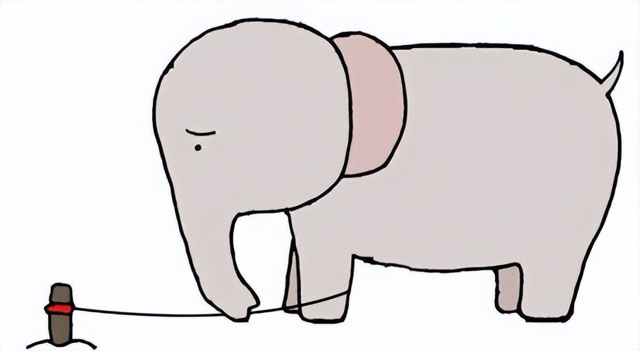 以大象的蛮力完全可以毫不费力地扯断绳子或拔起木桩,但令人奇怪的