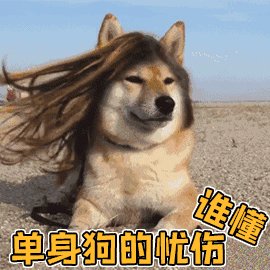 喔~原来是情人节到了哇~但你看,街上这卿卿我我的甜蜜氛围(狗头),答