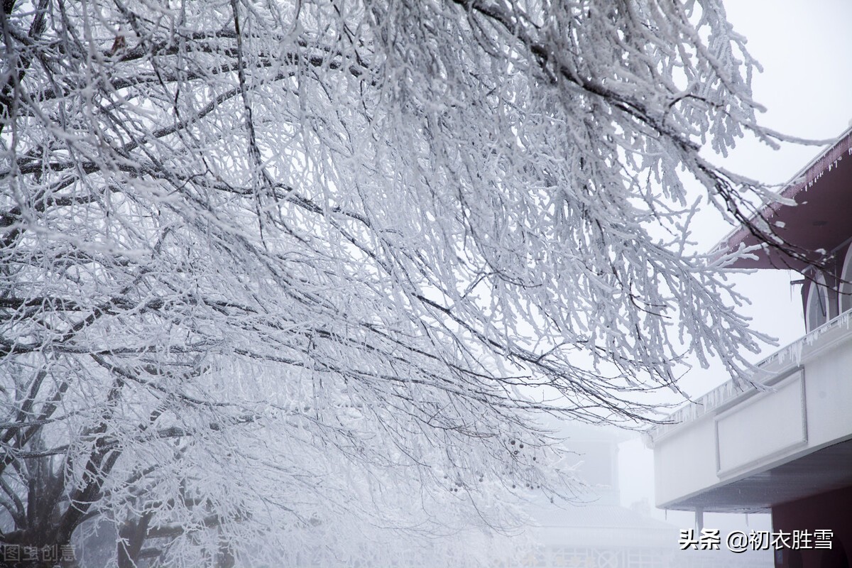 ​腊雪美诗六首：片片嘉平瑞，朝来雪满天