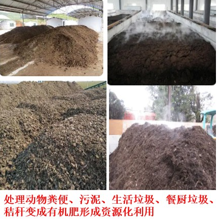 养猪场太臭被周边投诉、被责令限期整改，养猪场环保如何兼顾？