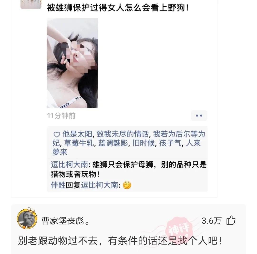 神评爆笑合集：变形金刚买保险，是买车险还是人寿险？
