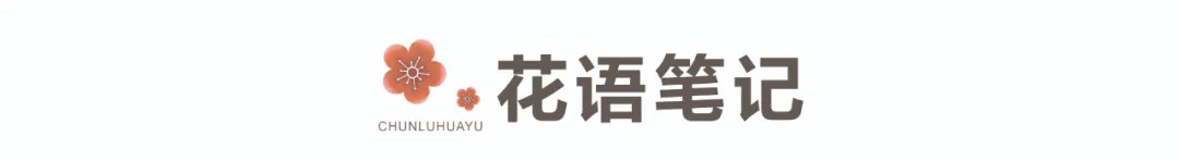 男生蛋碎了有什么影响(从小学生“蛋”被踢伤切除，谈男生睾丸的保护)