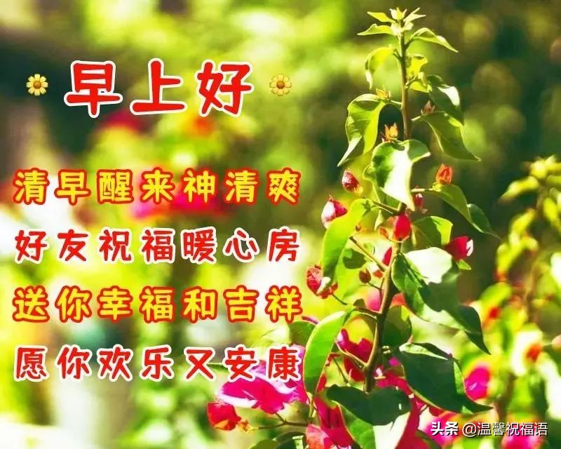 创意唯美亲人朋友早上好祝福语图片大全 春日清晨早安问候图片文字