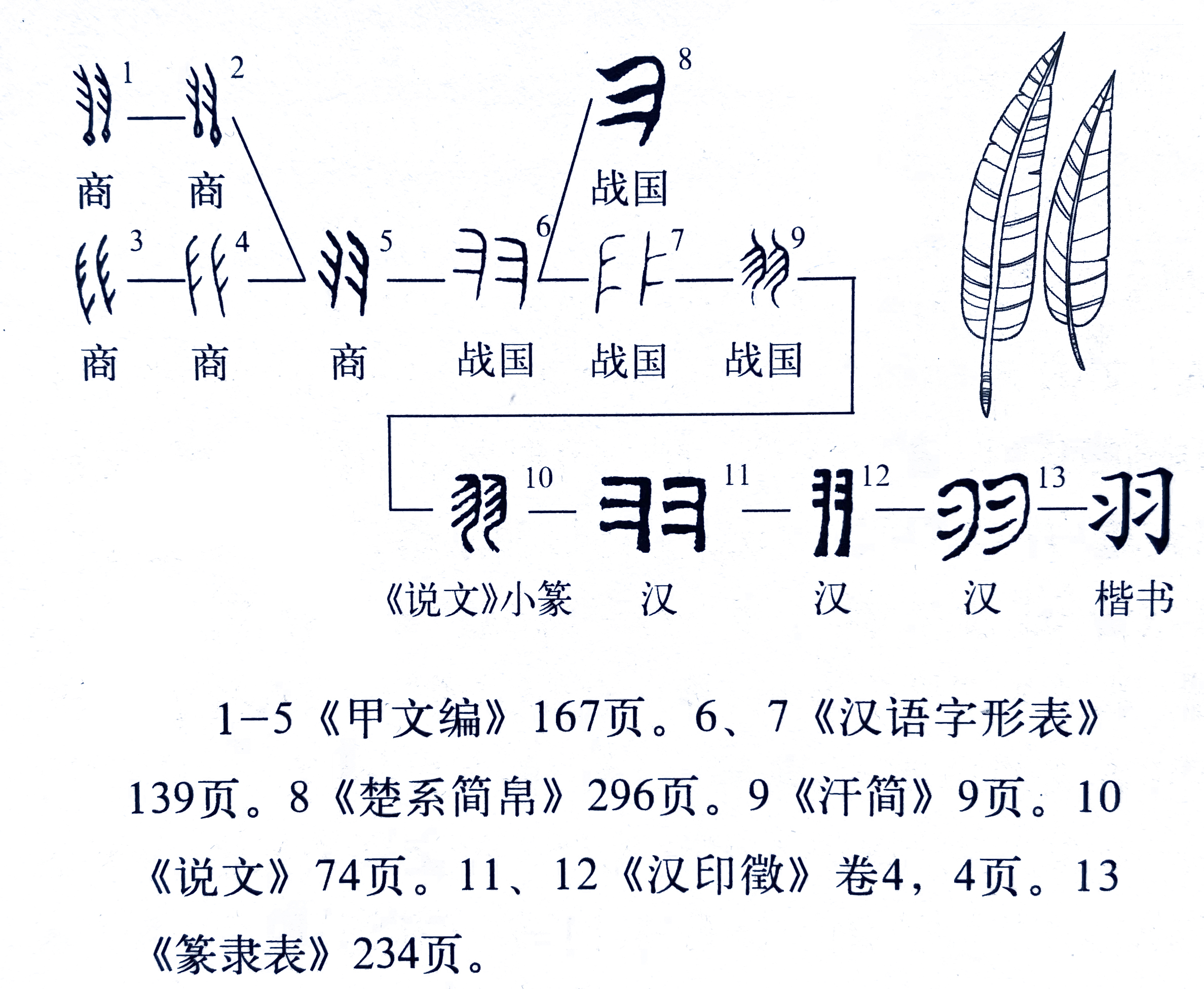 者羽上下结构怎么读（者羽念什么字）-第1张图片-易算准