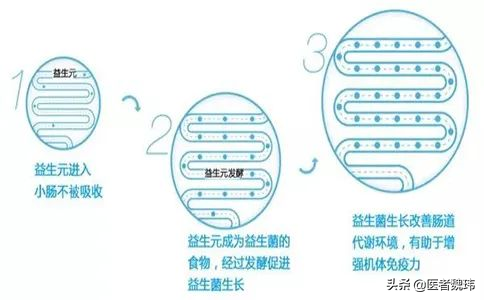 低聚果糖是什么东西（低聚果糖是益生元吗）-第2张图片-巴山号