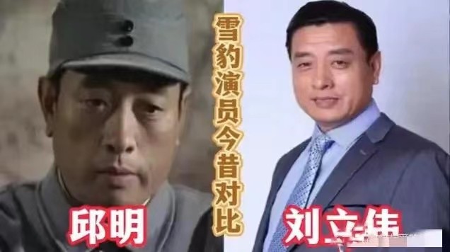 12年后再看《雪豹》，主演凉了，配角火了，如今差距一目了然