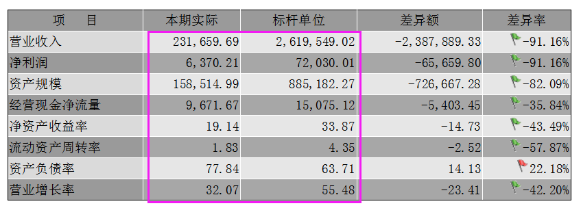 详细版企业年度财务分析报告